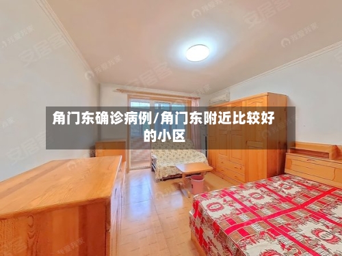 角门东确诊病例/角门东附近比较好的小区