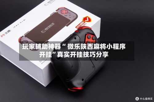 玩家辅助神器“ 微乐陕西麻将小程序开挂”真实开挂技巧分享