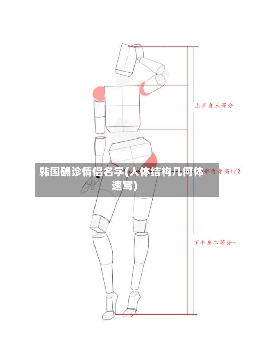 韩国确诊情侣名字(人体结构几何体速写)