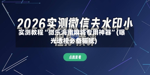 实测教程“微乐海南麻将专用神器”(曝光透视必备猫腻)