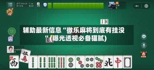 辅助最新信息“微乐麻将到底有挂没”(曝光透视必备猫腻)