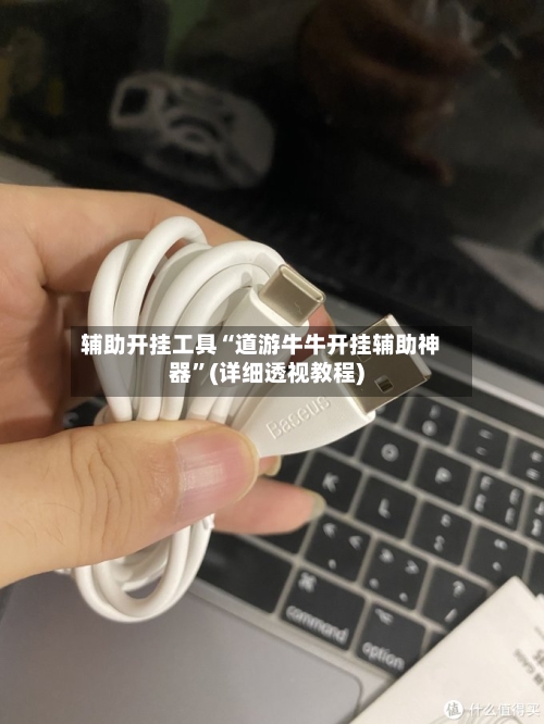 辅助开挂工具“道游牛牛开挂辅助神器”(详细透视教程)