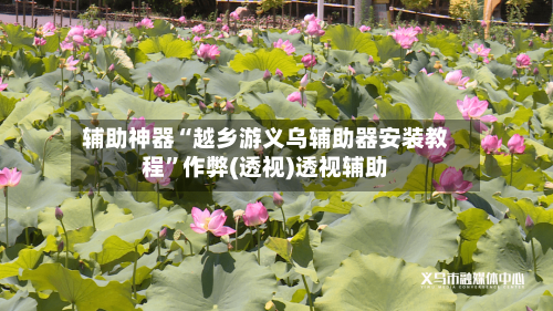 辅助神器“越乡游义乌辅助器安装教程”作弊(透视)透视辅助