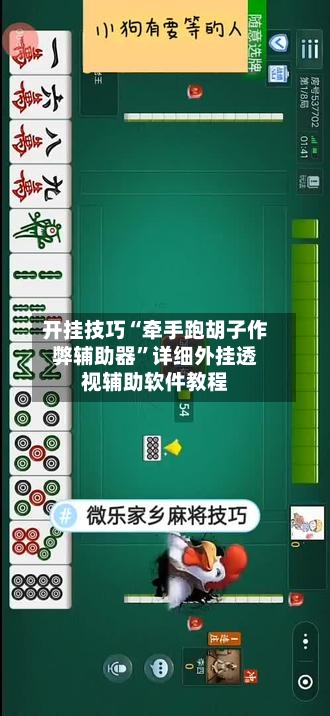 开挂技巧“牵手跑胡子作弊辅助器”详细外挂透视辅助软件教程
