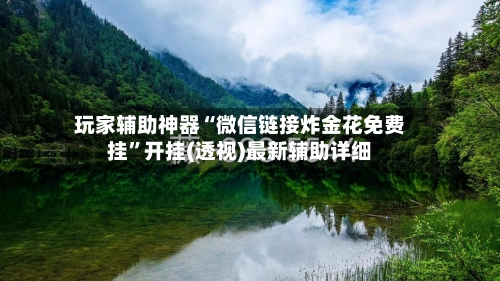 玩家辅助神器“微信链接炸金花免费挂”开挂(透视)最新辅助详细