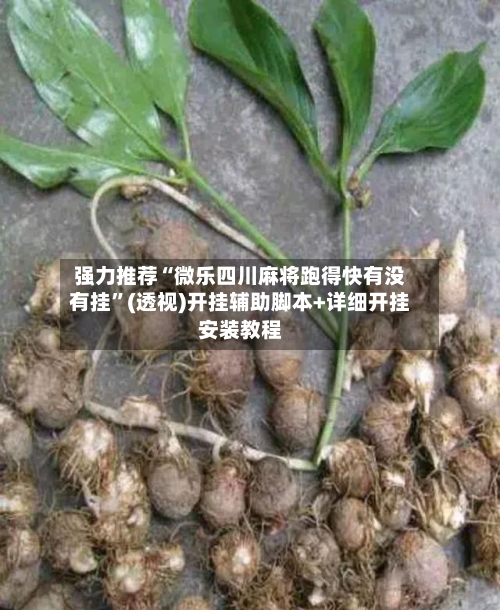 强力推荐“微乐四川麻将跑得快有没有挂”(透视)开挂辅助脚本+详细开挂安装教程