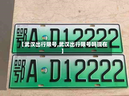 【武汉出行限号,武汉出行限号吗现在】
