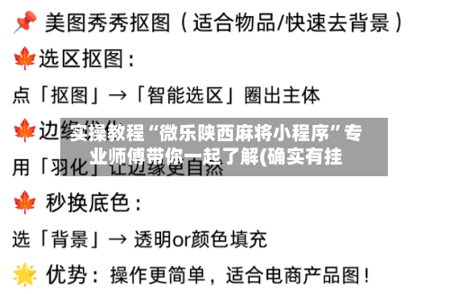 实操教程“微乐陕西麻将小程序”专业师傅带你一起了解(确实有挂