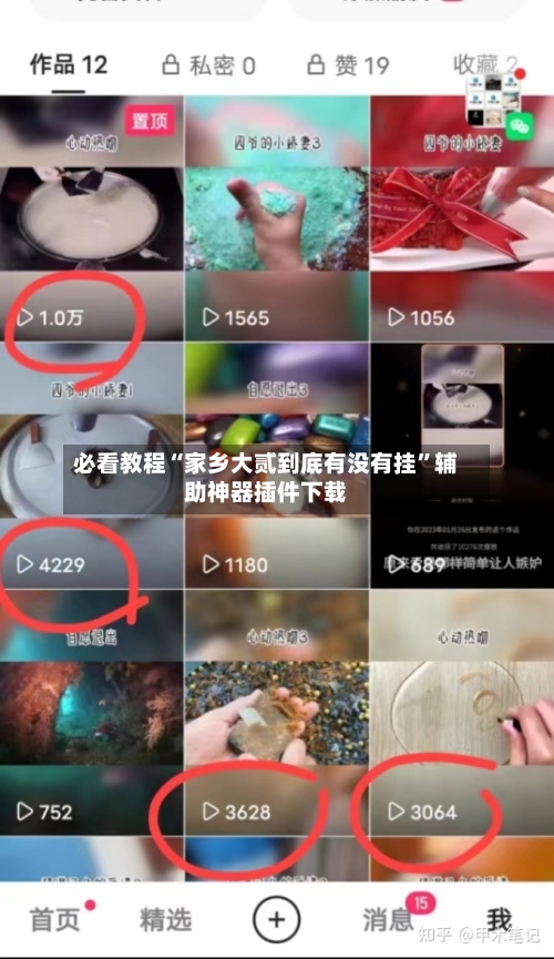 必看教程“家乡大贰到底有没有挂”辅助神器插件下载