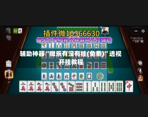 辅助神器“微乐有没有挂(免费)”透视开挂教程