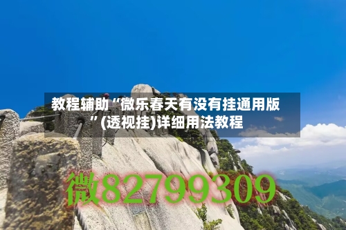 教程辅助“微乐春天有没有挂通用版”(透视挂)详细用法教程