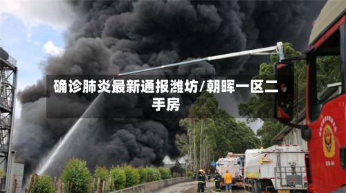 确诊肺炎最新通报潍坊/朝晖一区二手房