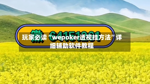 玩家必读“wepoker透视挂方法”详细辅助软件教程