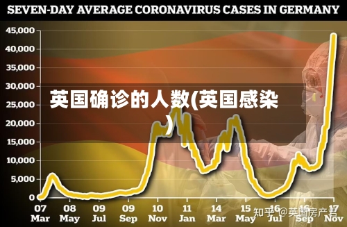 英国确诊的人数(英国感染)