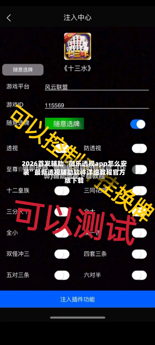 2026首发辅助“微乐透视app怎么安装”最新透视辅助软件详细教程官方版下载