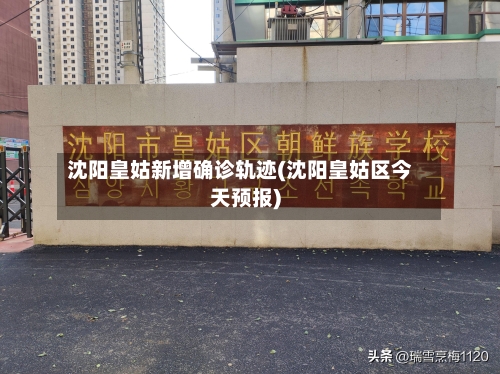 沈阳皇姑新增确诊轨迹(沈阳皇姑区今天预报)