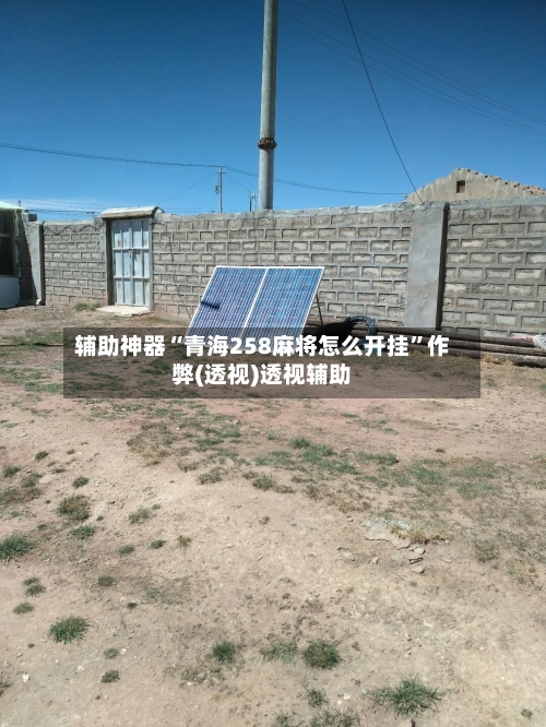辅助神器“青海258麻将怎么开挂”作弊(透视)透视辅助