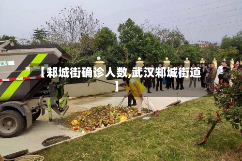 【邾城街确诊人数,武汉邾城街道】