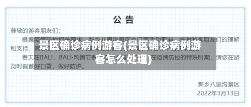 景区确诊病例游客(景区确诊病例游客怎么处理)