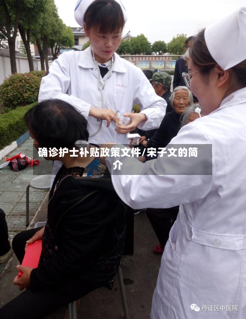 确诊护士补贴政策文件/宋子文的简介
