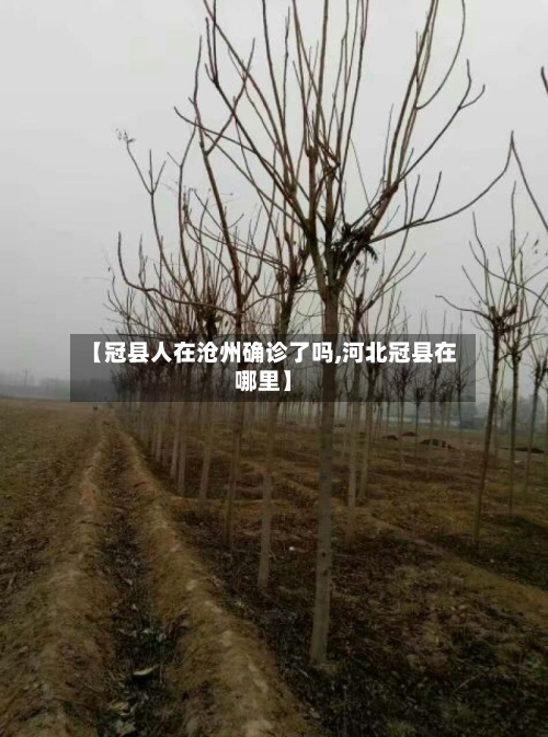【冠县人在沧州确诊了吗,河北冠县在哪里】