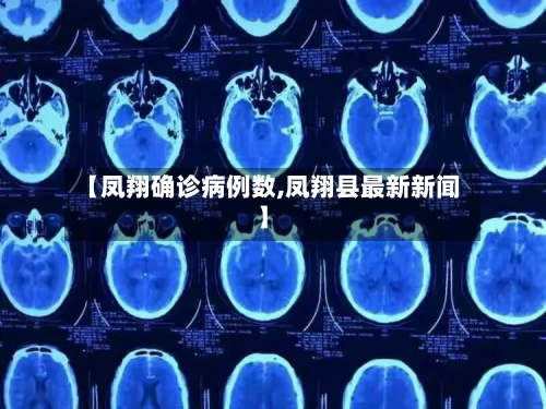 【凤翔确诊病例数,凤翔县最新新闻】