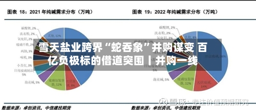 雪天盐业跨界“蛇吞象”并购谋变 百亿负极标的借道突围丨并购一线