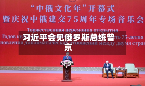习近平会见俄罗斯总统普京