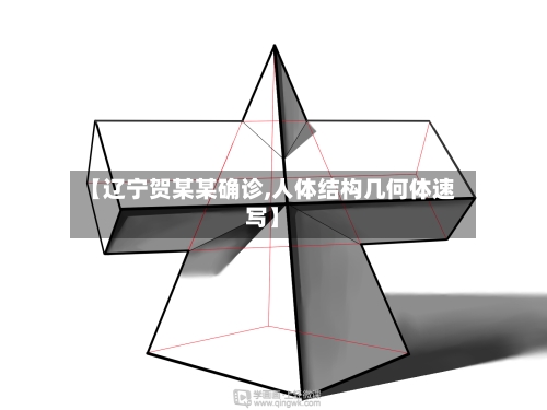 【辽宁贺某某确诊,人体结构几何体速写】