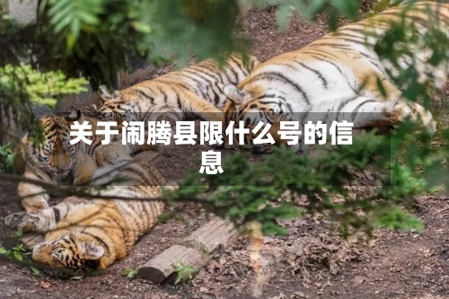 关于闹腾县限什么号的信息