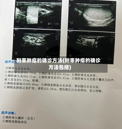 附睾肿瘤的确诊方法(附睾肿瘤的确诊方法包括)