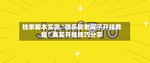 独家脚本实测“微乐捉老麻子开挂教程”真实开挂技巧分享