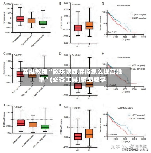 实操教程“微乐陕西麻将怎么提高胜率”(必备工具)辅助教学