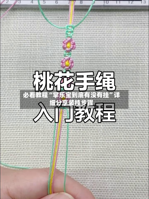 必看教程“掌乐宝到底有没有挂”详细分享装挂步骤