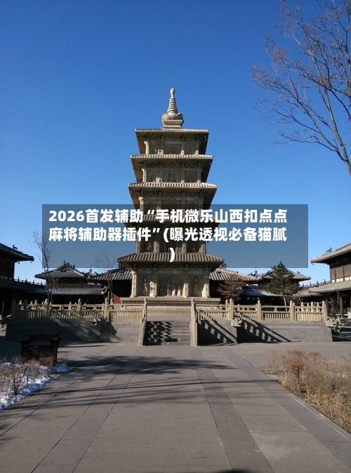 2026首发辅助“手机微乐山西扣点点麻将辅助器插件”(曝光透视必备猫腻)
