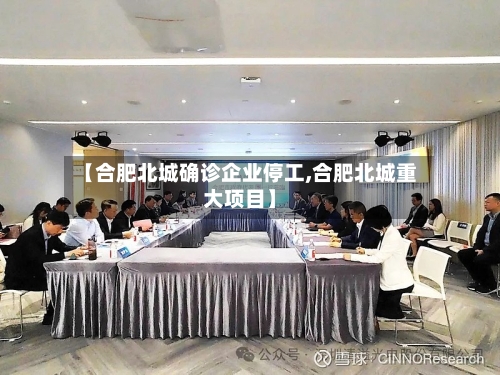【合肥北城确诊企业停工,合肥北城重大项目】