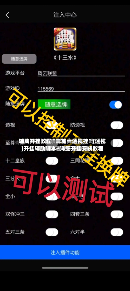 辅助开挂教程“三加一透视挂”(透视)开挂辅助脚本+详细开挂安装教程