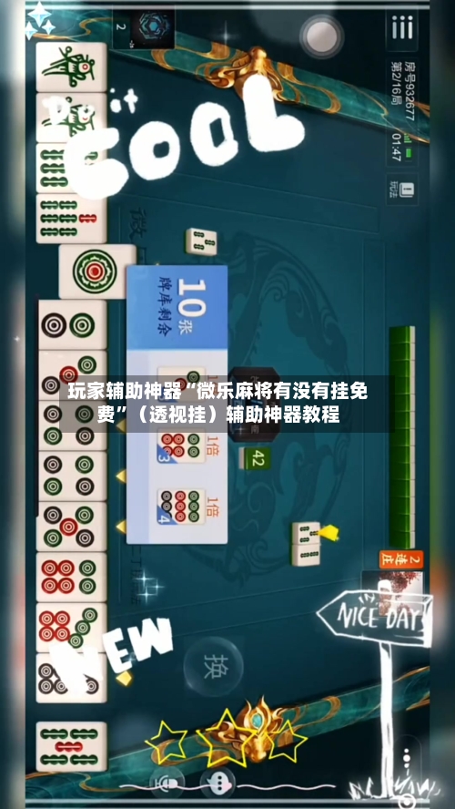 玩家辅助神器“微乐麻将有没有挂免费”（透视挂）辅助神器教程