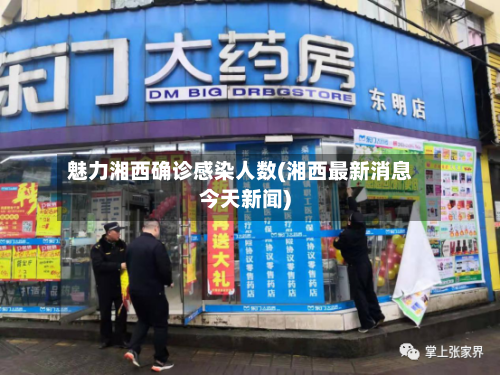 魅力湘西确诊感染人数(湘西最新消息今天新闻)