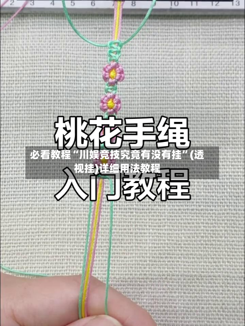 必看教程“川娱竞技究竟有没有挂”(透视挂)详细用法教程