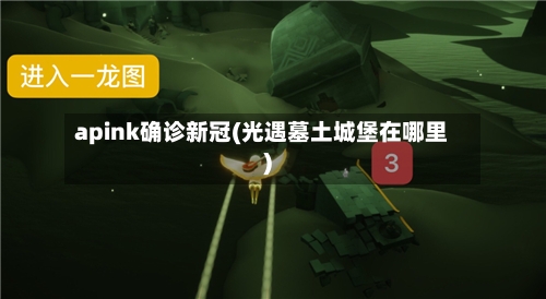 apink确诊新冠(光遇墓土城堡在哪里)