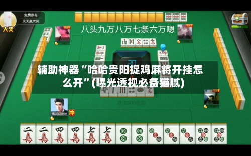 辅助神器“哈哈贵阳捉鸡麻将开挂怎么开”(曝光透视必备猫腻)