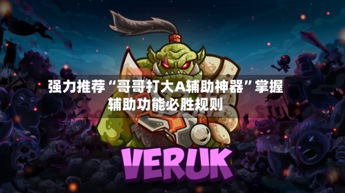 强力推荐“哥哥打大A辅助神器”掌握辅助功能必胜规则