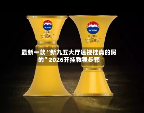 最新一款“新九五大厅透视挂真的假的”2026开挂教程步骤