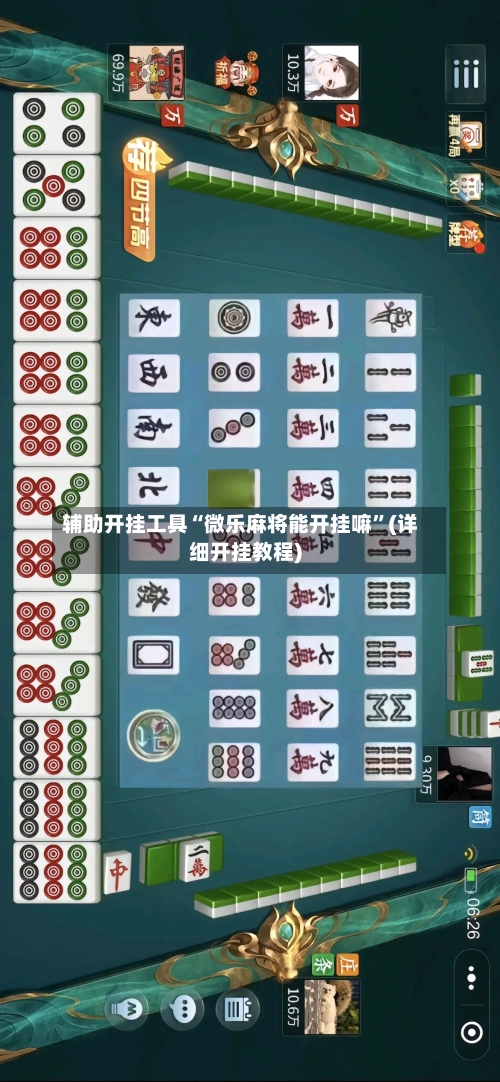 辅助开挂工具“微乐麻将能开挂嘛”(详细开挂教程)