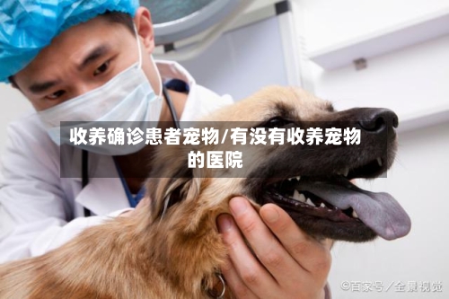 收养确诊患者宠物/有没有收养宠物的医院