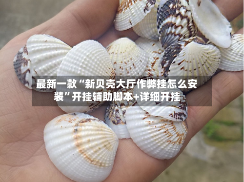 最新一款“新贝壳大厅作弊挂怎么安装”开挂辅助脚本+详细开挂