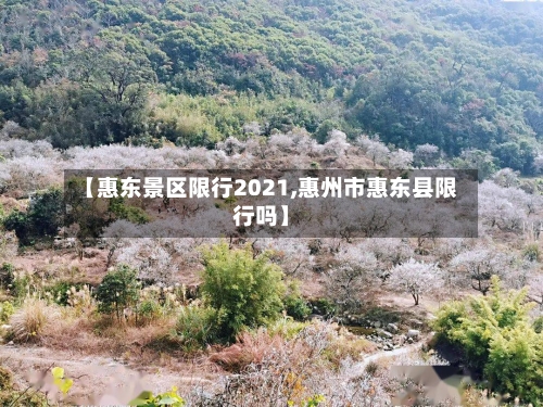 【惠东景区限行2021,惠州市惠东县限行吗】