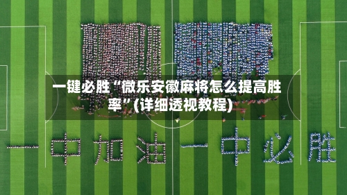 一键必胜“微乐安徽麻将怎么提高胜率”(详细透视教程)