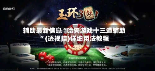 辅助最新信息“哈狗游戏十三道辅助”(透视挂)详细用法教程